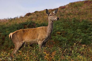 模拟解谜游戏《6栋301房》试玩Demo上线 登陆Steam和WeGame